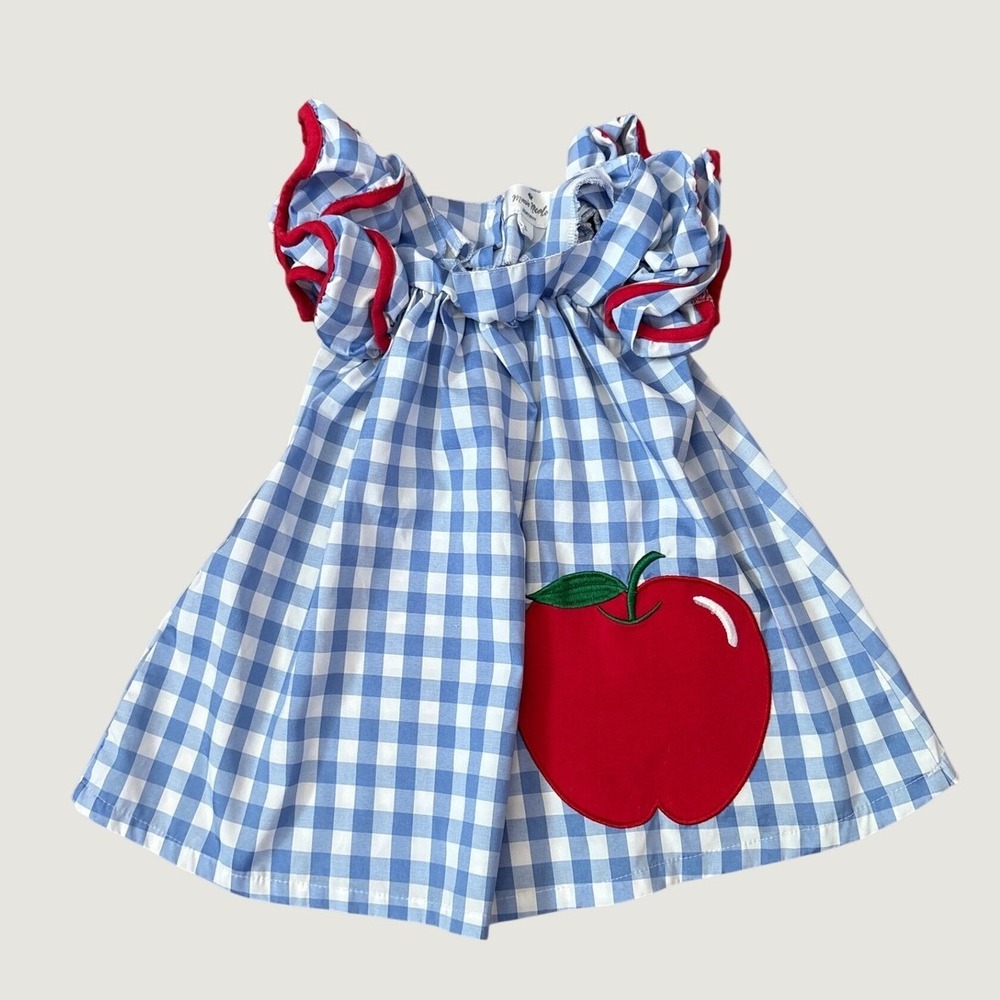 Marie Nicole Gingham Dress Girls Blue Apple Flutter Sleeve SIZE XL 3T 4T